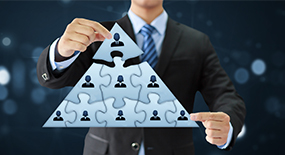 Organization Structure